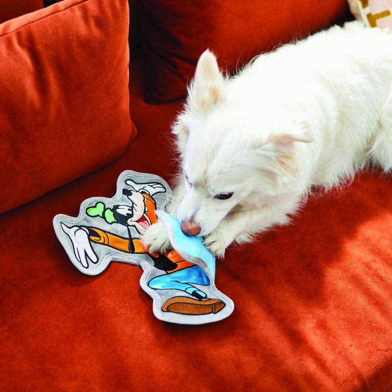 Goofy Flat Plush Squeaky Dog Toy