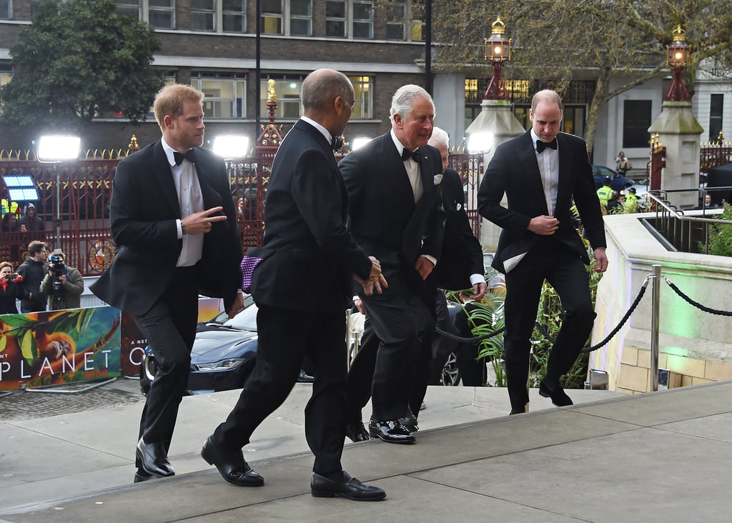 Harry, William, and Charles at Our Planet Premiere 2018