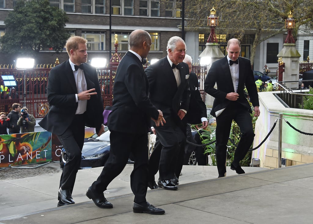 Harry, William, and Charles at Our Planet Premiere 2019