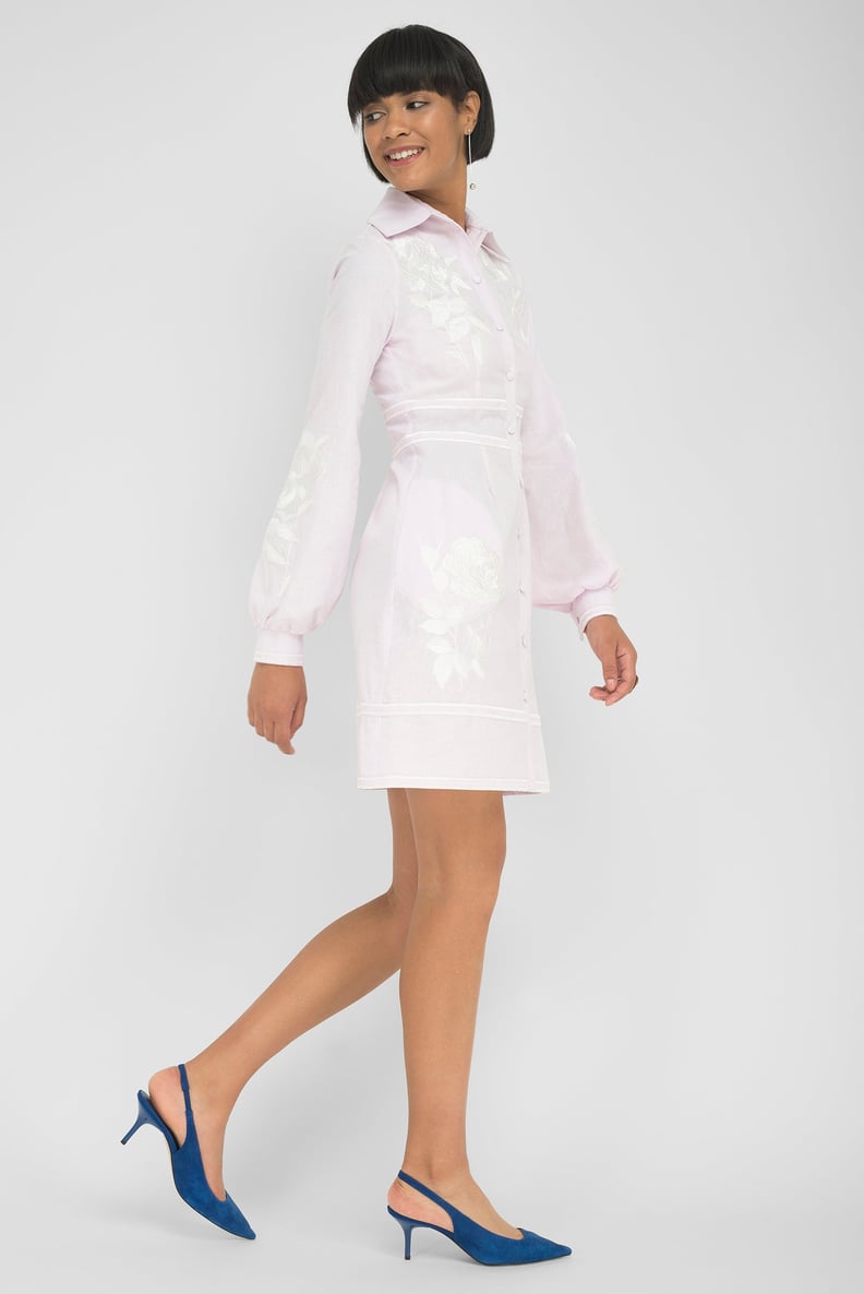 An Embroidered Minidress