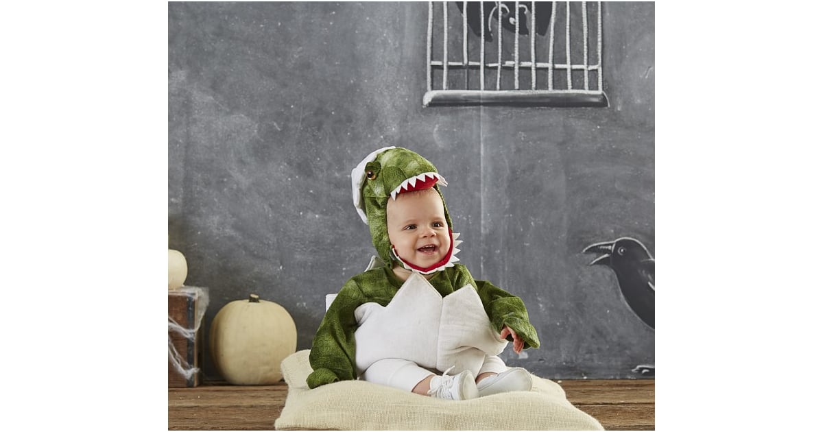 Baby Dinosaur Costume Pottery Barn Costumes For Babies POPSUGAR