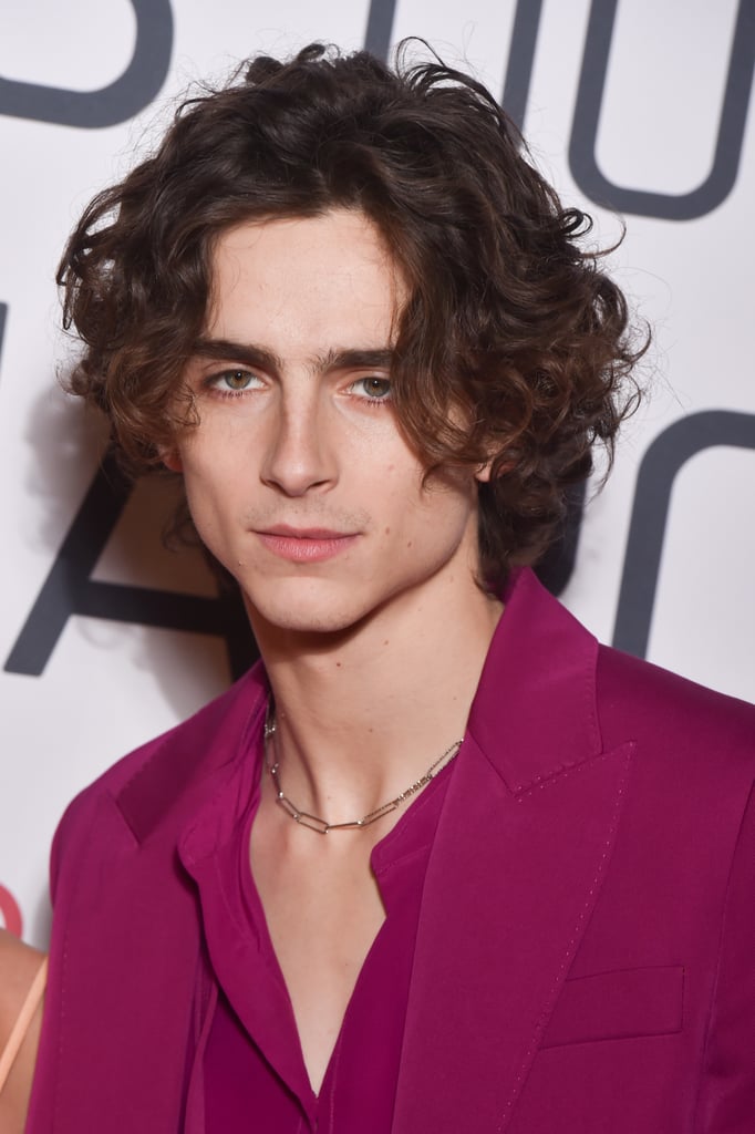 Timothée Chalamet at the Little Women Premiere in Paris