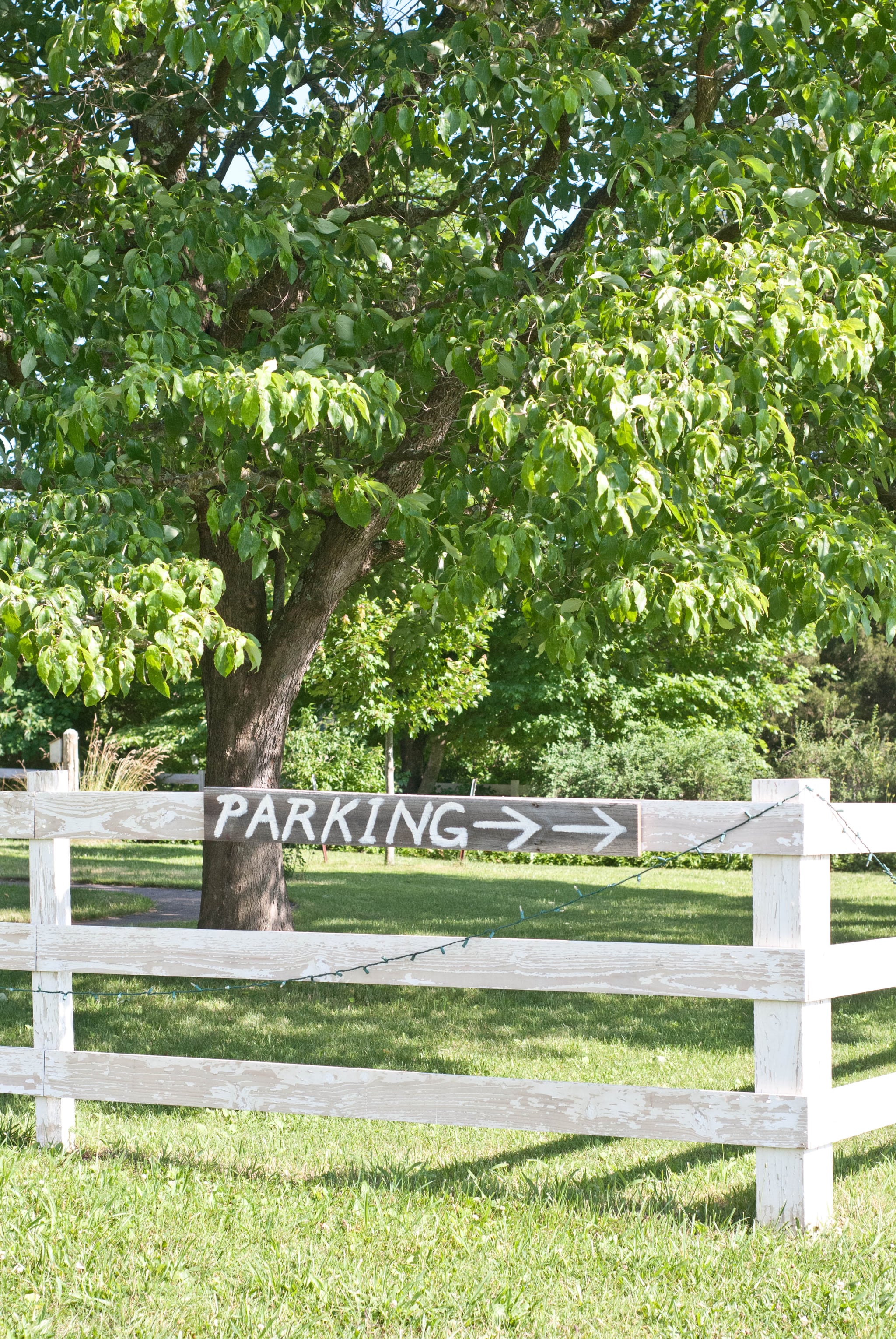 Love Sex Kelly And Will S Captivating Countryside Wedding
