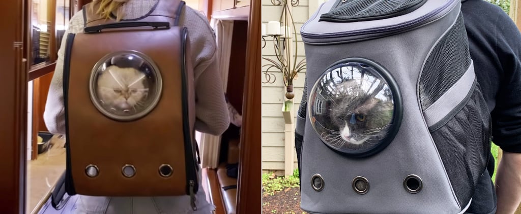 Taylor Swift's Cat Backpack, Review With Pictures