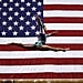 What Is Simone Biles's Net Worth?