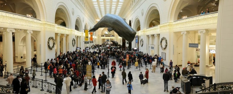 The Field Museum — Chicago