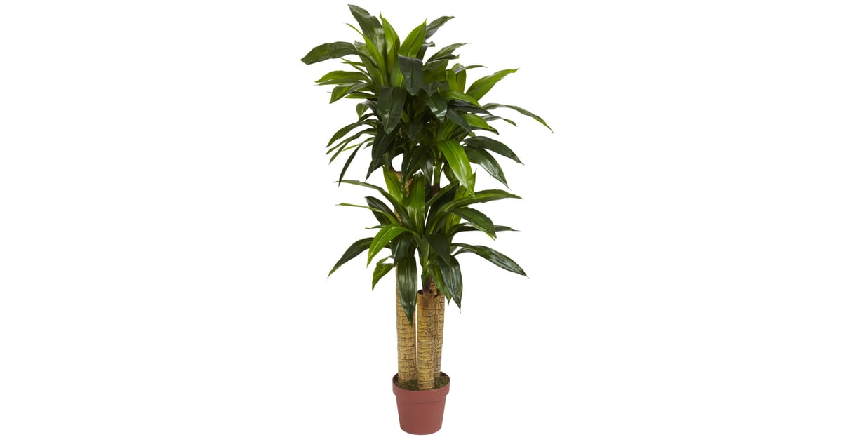 Nearly Natural Corn Stalk Dracaena 101 Fake Plants That Look So
