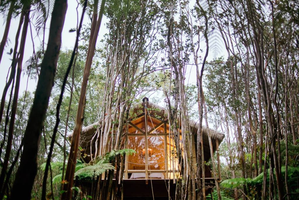 Tree House in Hawaii POPSUGAR Smart Living