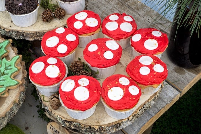 Wilderness-Themed Birthday Party