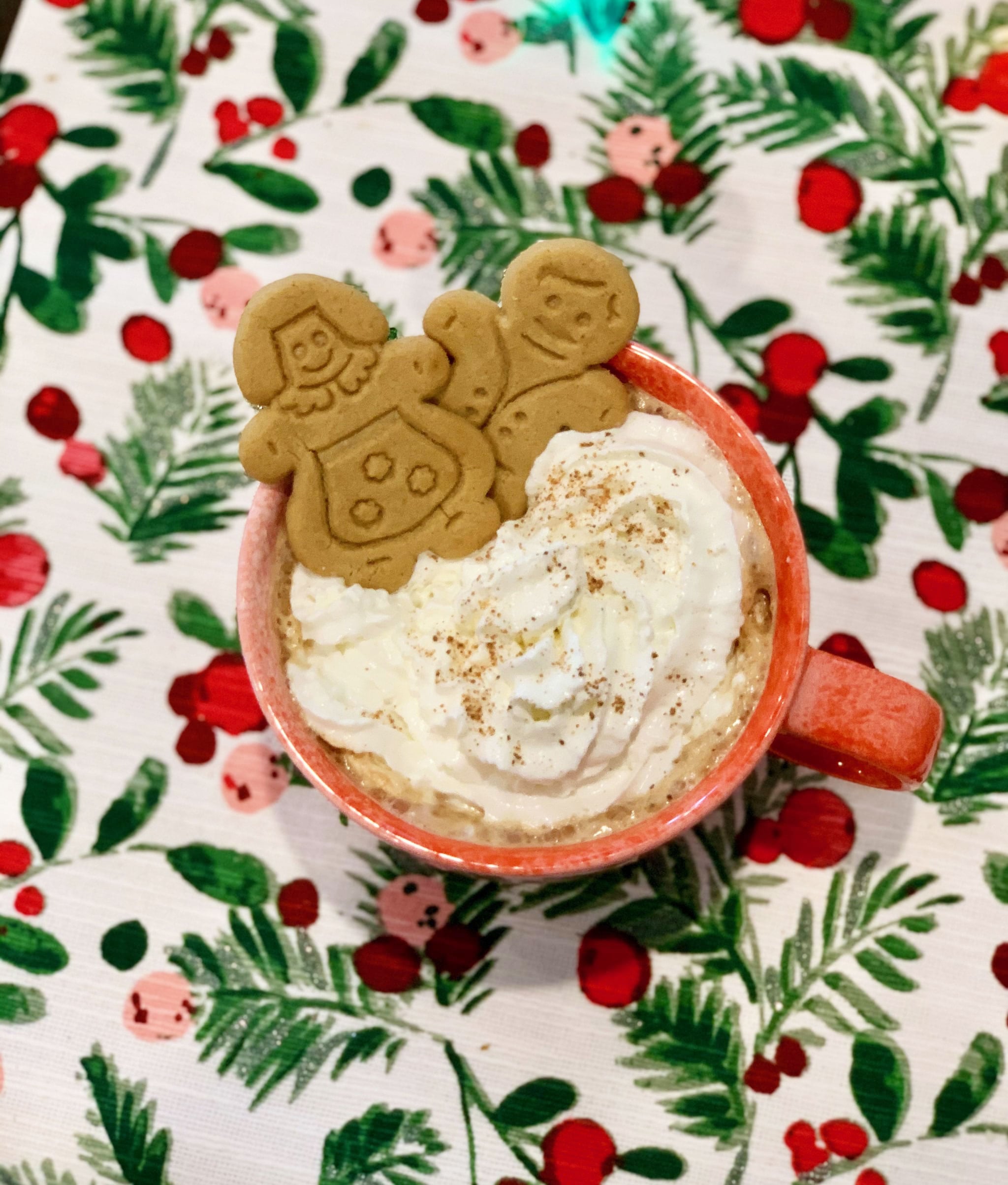Copycat Gingerbread Latte Starbucks Recipe - Mornings on Macedonia