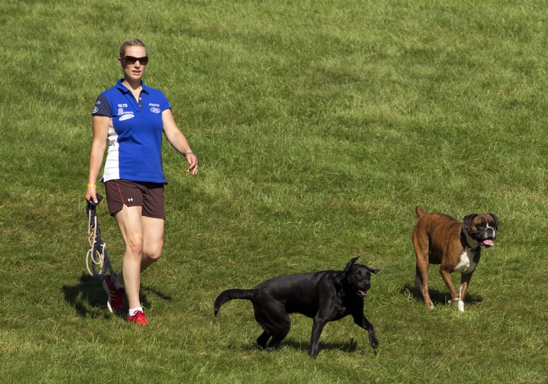 Zara Phillips With Spey the Boxer and Pepper the Black Lab