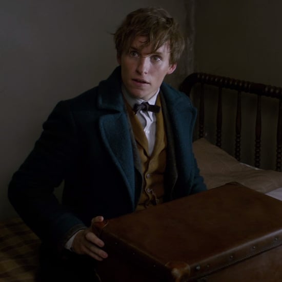 Fantastic Beasts and Where to Find Them Cast