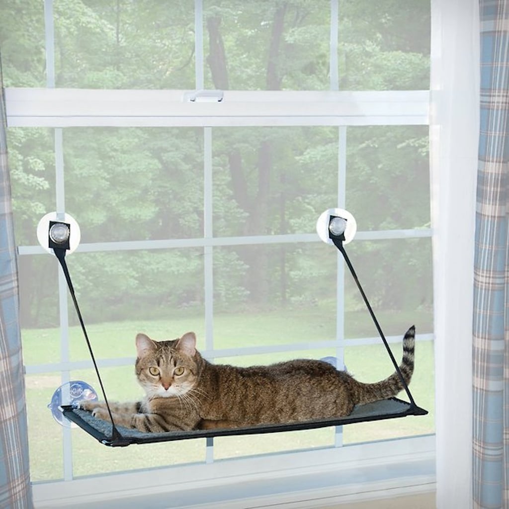 The Perfect Perch: K&H Pet Products EZ Mount Cat Window Perch