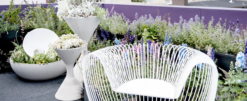 The 6 Top Outdoor Trends on Pinterest