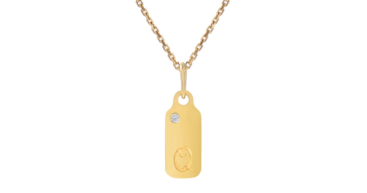 Mini mini 2025 dog tag necklace