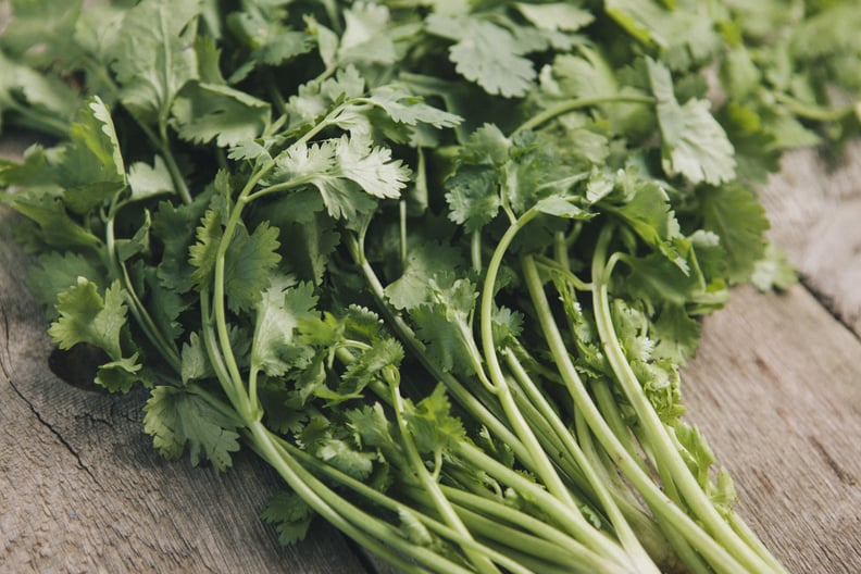 bundle of fresh cilantro: what are the benefits of cilantro?