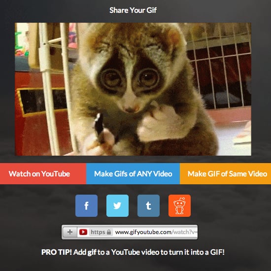 How to Make a GIF From YouTube Video