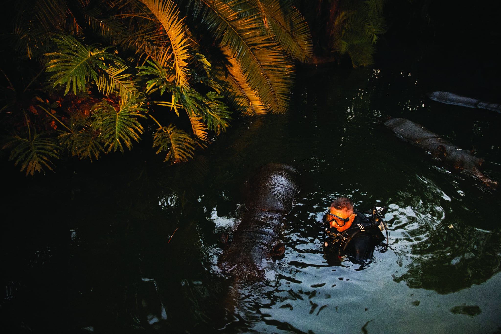 Underwater Attraction Machinist 14 Behind The Scenes Jobs At Disney That Ll Open Up A Whole New World Of Career Possibilities Popsugar Smart Living Photo 5 Controls are also listed here. underwater attraction machinist 14