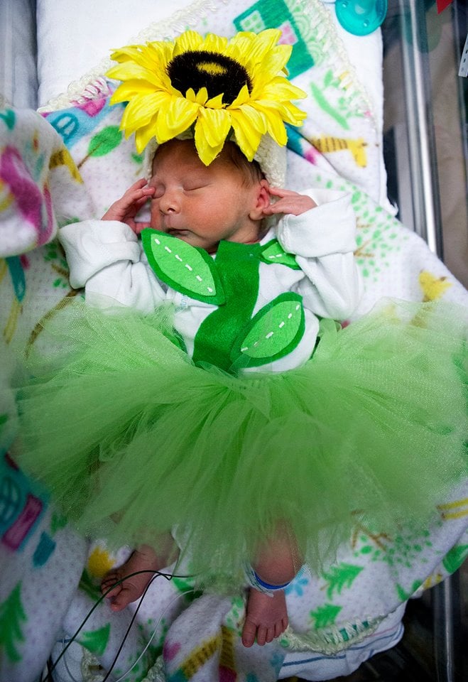 NICU Babies in Halloween Costumes POPSUGAR Family