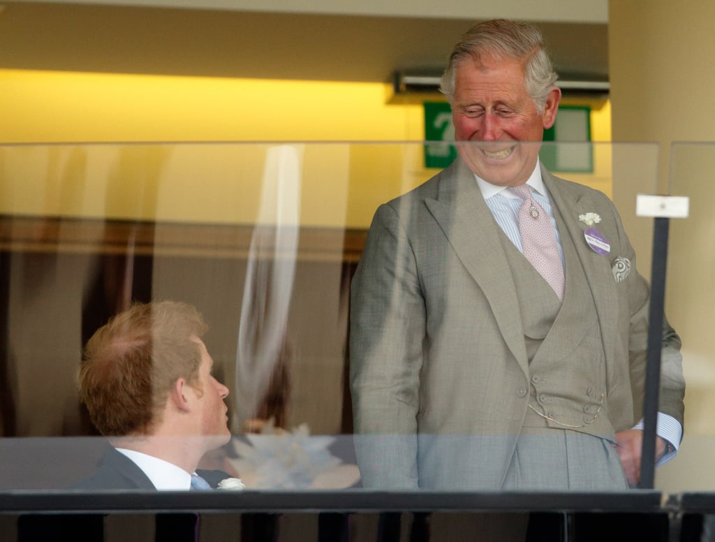 Prince Harry and Prince Charles Pictures