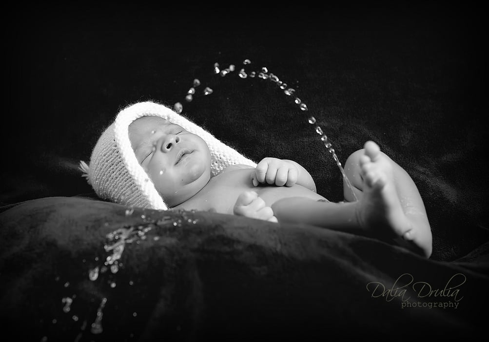 newborn shoots