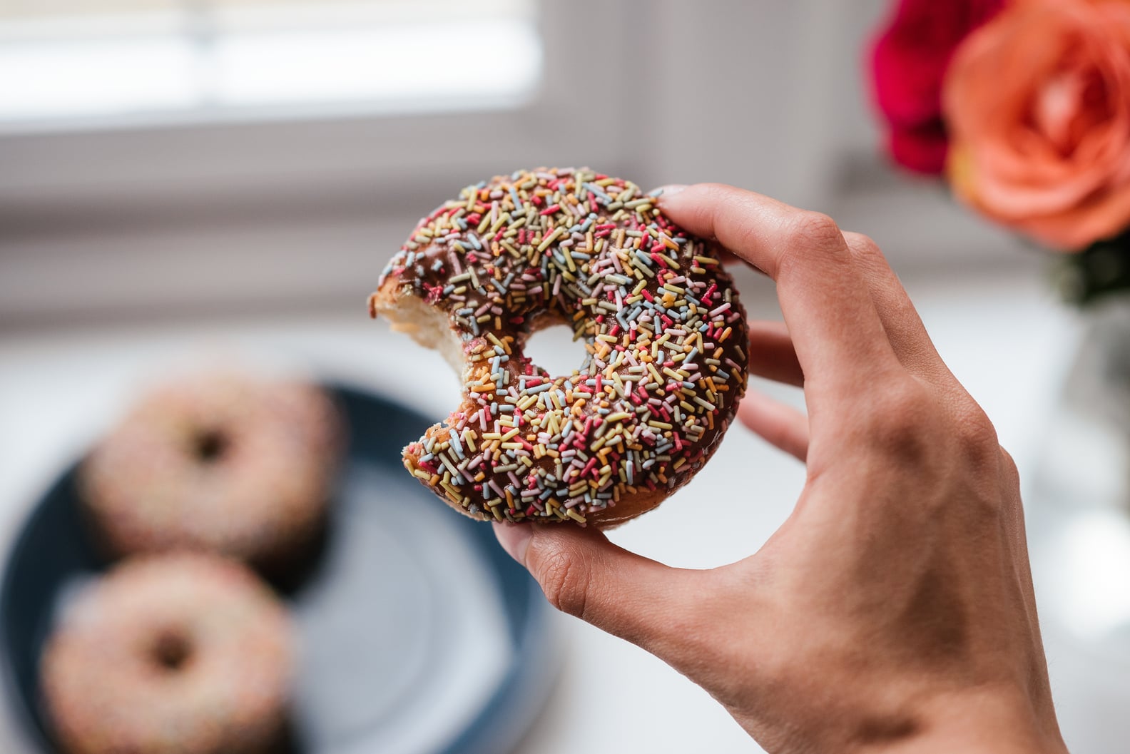 Can You Freeze Doughnuts? POPSUGAR Food