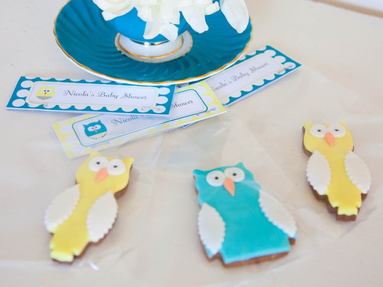 Owl Cookies 21 Of The Cutest Baby Shower Cookies Ever