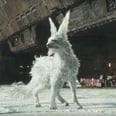 Meet the Mysterious Crystal Foxes of Star Wars: The Last Jedi
