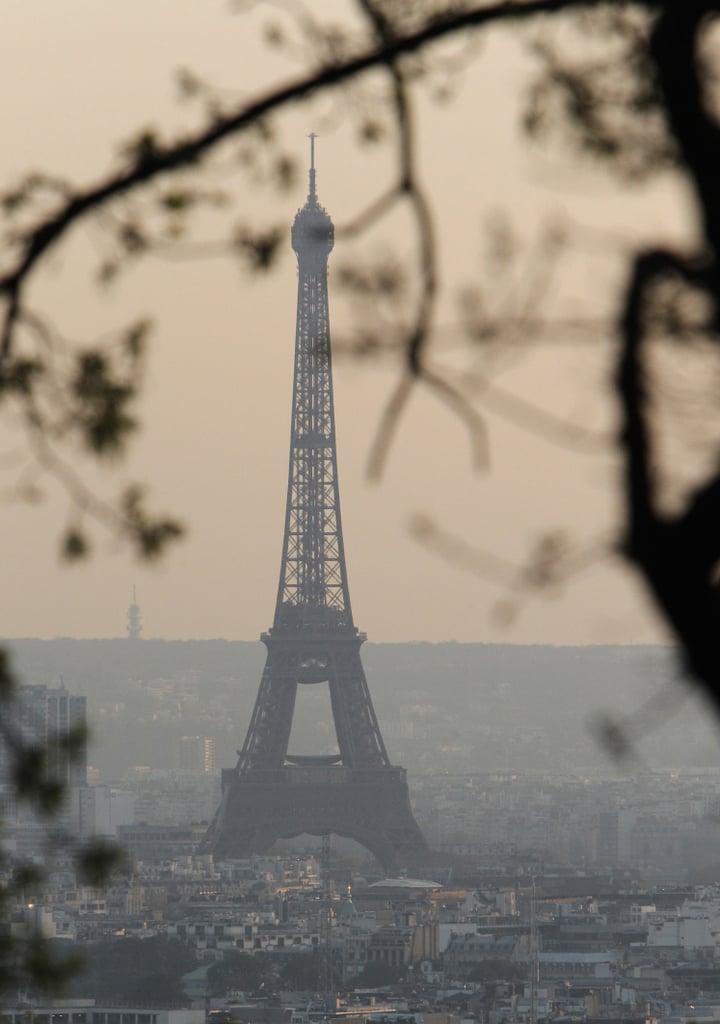 Eiffel Tower Pictures