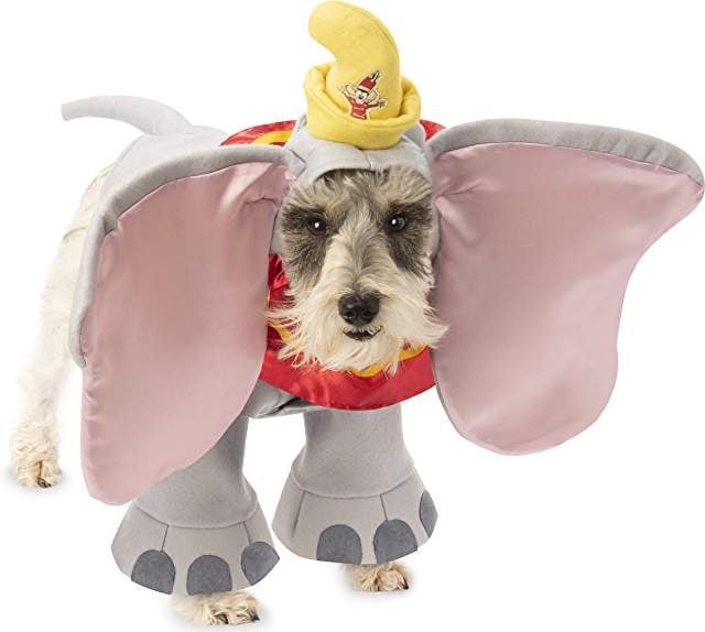 Dumbo Dog Halloween Costume