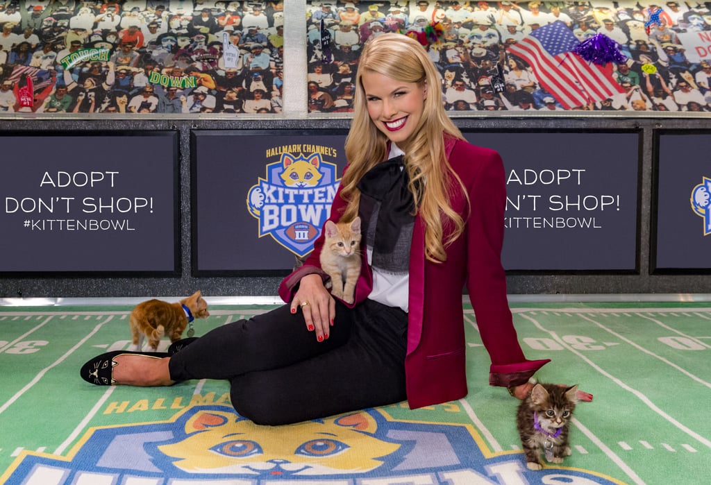 Kitten Bowl 2016