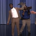 Robert Irwin Brings Out Animals on The Tonight Show, and We've Never Seen Kevin Hart So Scared