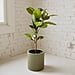 Best Planters From Etsy 2021