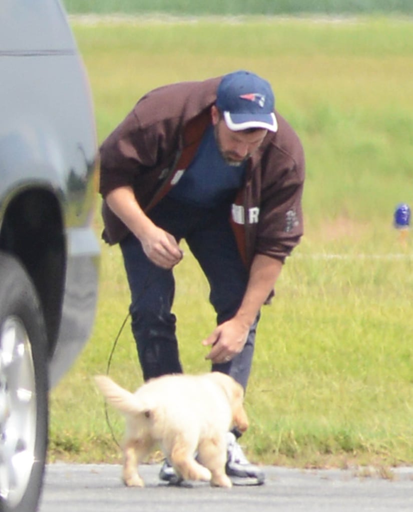 Ben Affleck Holding Puppy in Atlanta | Photos