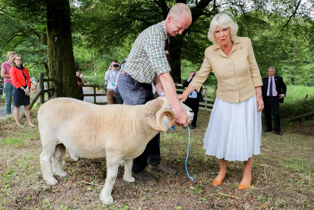 Camilla Parker Bowles Birthday Photos 2019