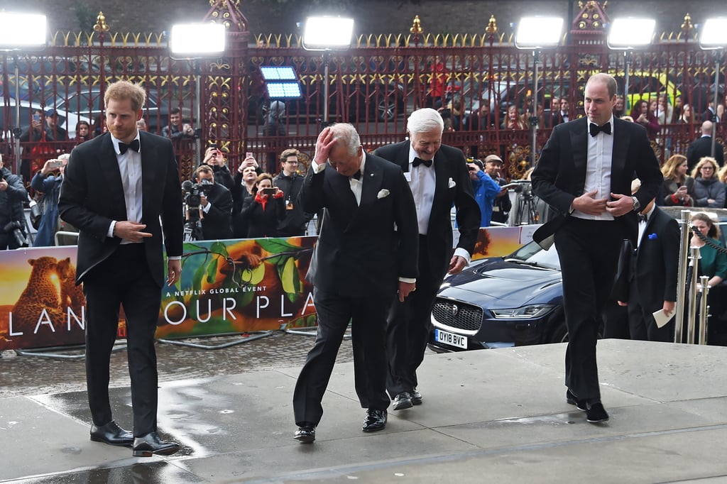 Harry, William, and Charles at Our Planet Premiere 2019
