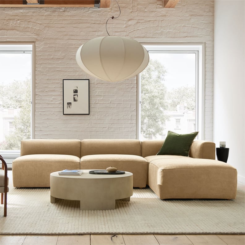 Best Pet-Friendly Sofa For Small Dogs