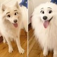 You Can "Disneyfy" Your Pets With This Handy Snapchat Filter, Because We Have Nothing Better to Do