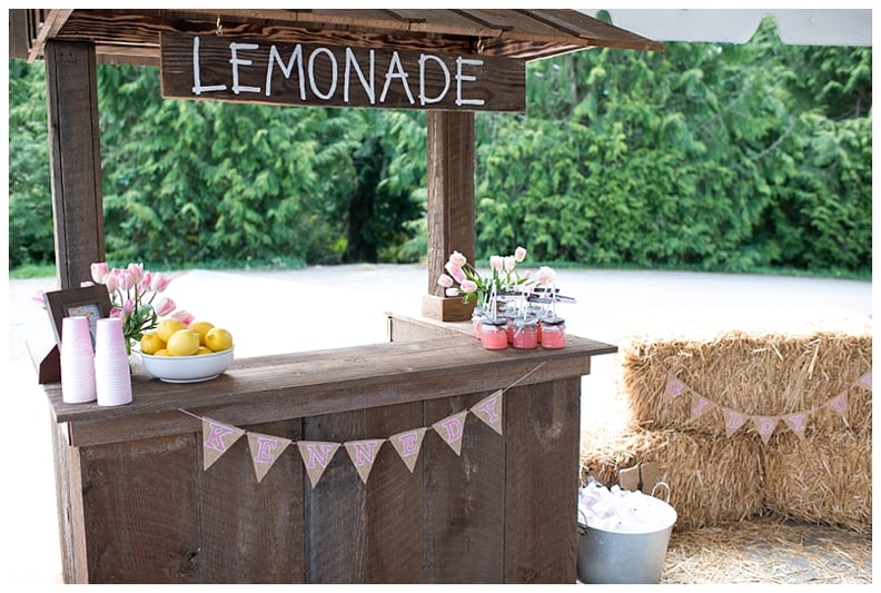 Homemade Lemonade Stand