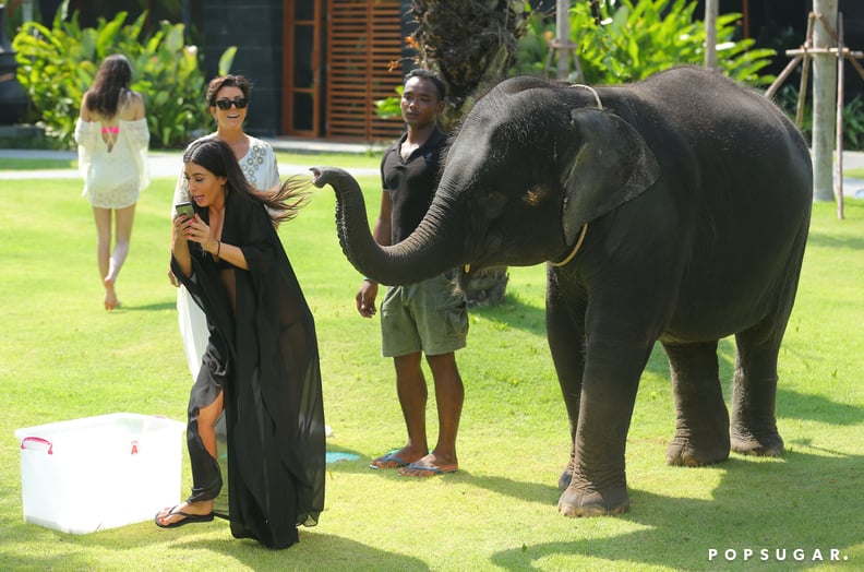 Then the elephant was like, "I said no photos!"