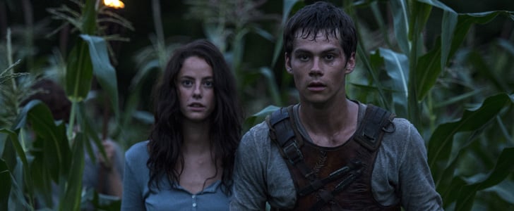 The Maze Runner Film Thoughts- Why Thomas is My New Favorite Protagonist –  Girl in the Pages
