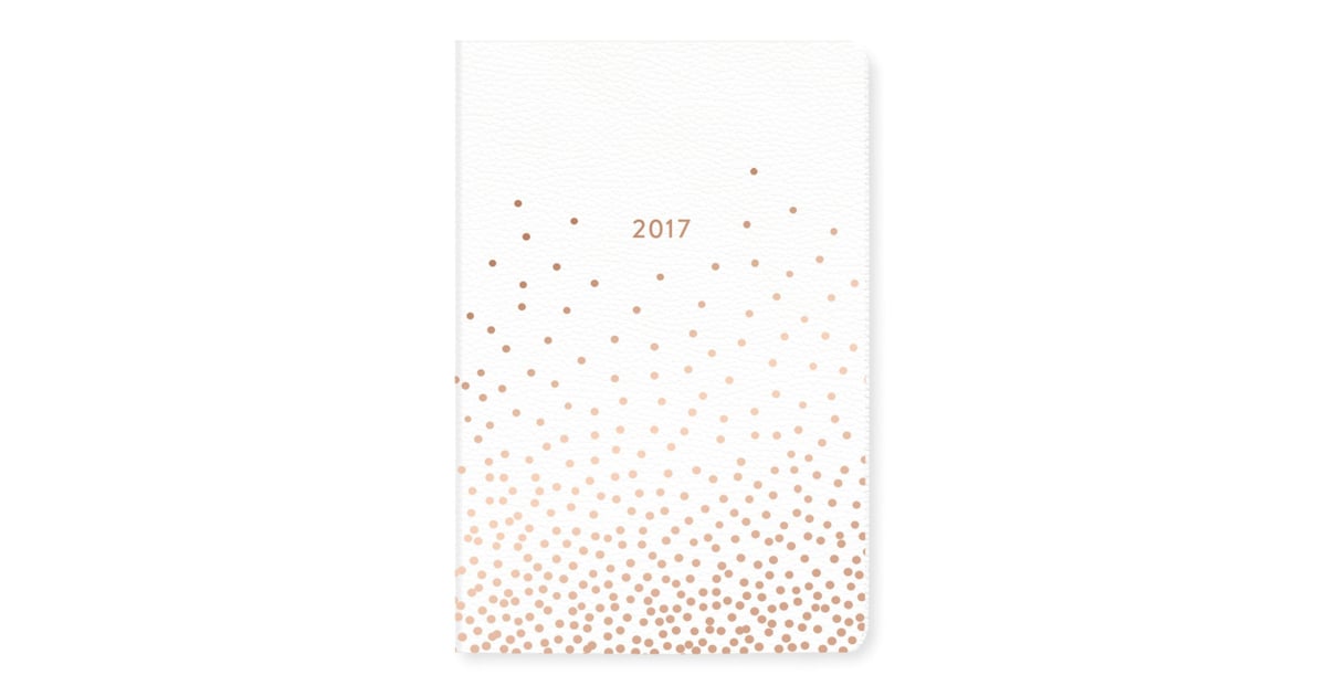 Fringe Studio Confetti 17Month 201617 Planner (28) Small and