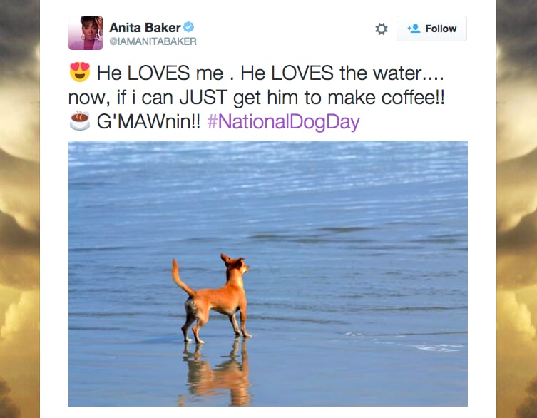 Tweets From National Dog Day 2015