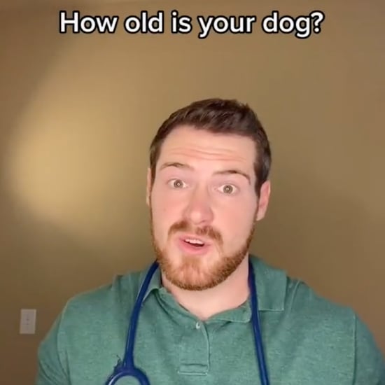 Vet's TikTok Video Says "Dog Years" Aren't 7 Years Long