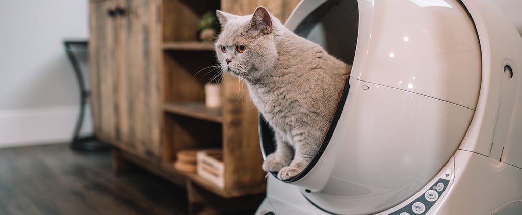Litter-Robot 3 Connect Review