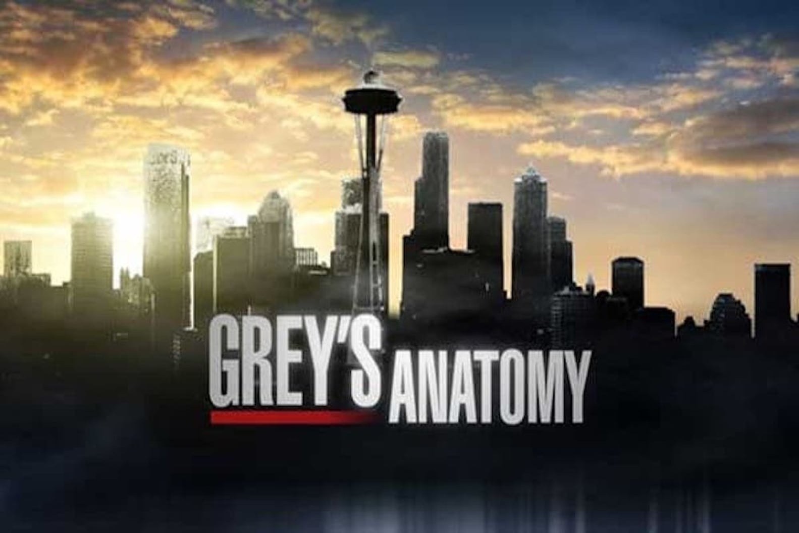 Grey's Anatomy Seattle Tour PS Smart Living