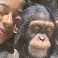 Who Gave Victoria Monét's Chimpanzee Friend Permission to Serve This Hard?