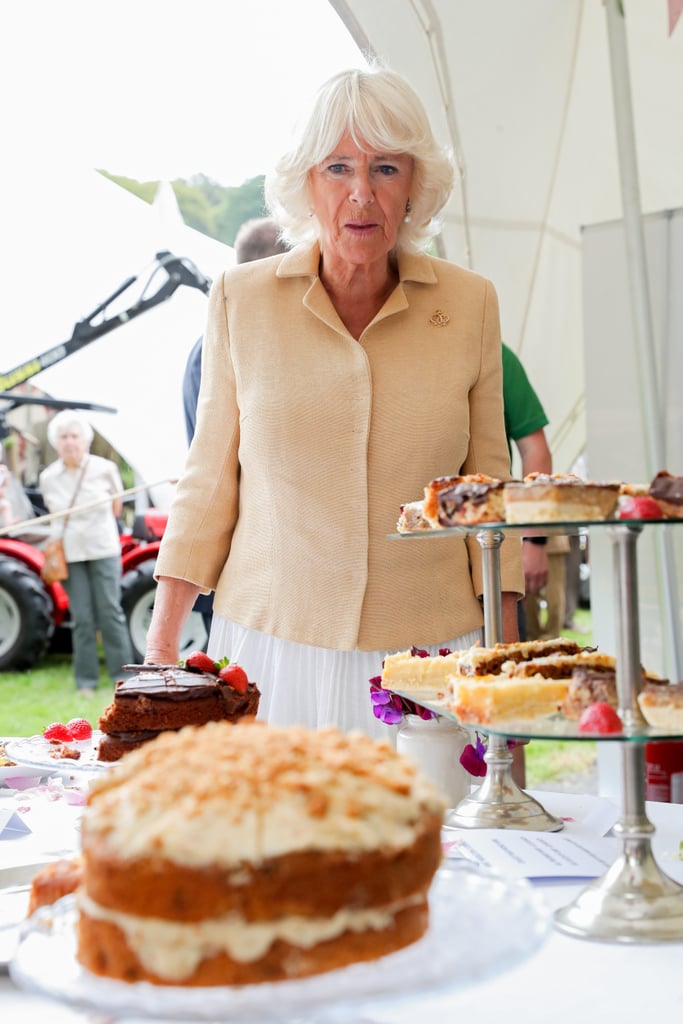 Camilla Parker Bowles Birthday Photos 2019