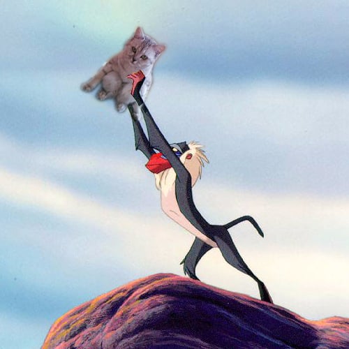 Reddit Photoshop Battle With Cats