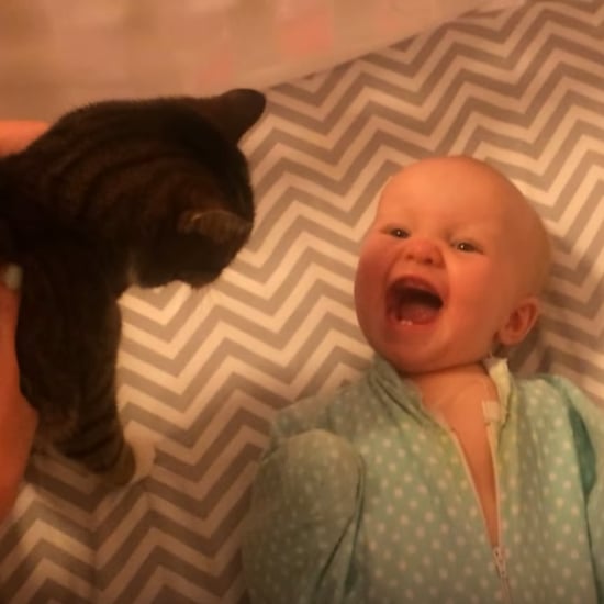 Baby Excited About Pet Cat in Crib